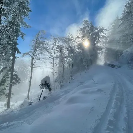 Seeblickstraße 22 - Waldrausch Am Ossiacher * Bodensdorf