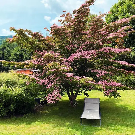 Apartment Seeblickstraße 22 - Waldrausch Am Ossiacher Bodensdorf