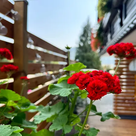 Seeblickstraße 22 - Waldrausch Am Ossiacher Apartment *