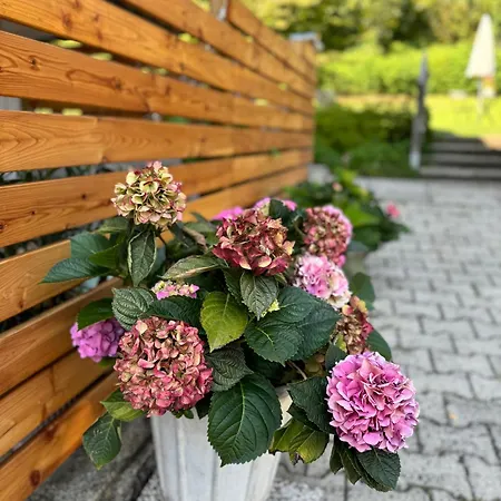 Seeblickstraße 22 - Waldrausch Am Ossiacher Apartment *