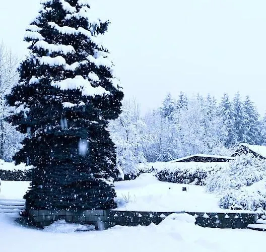 Apartament Seeblickstrasse 22 - Waldrausch Am Ossiacher *