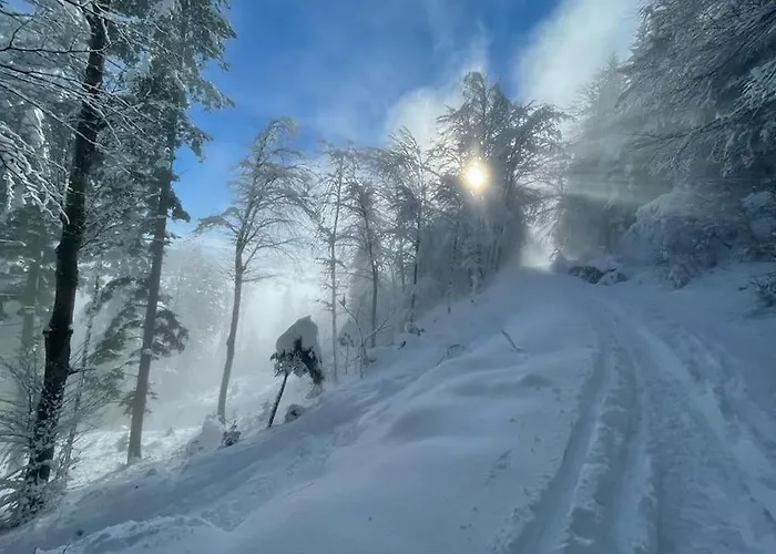 Seeblickstrasse 22 - Waldrausch Am Ossiacher * Bodensdorf
