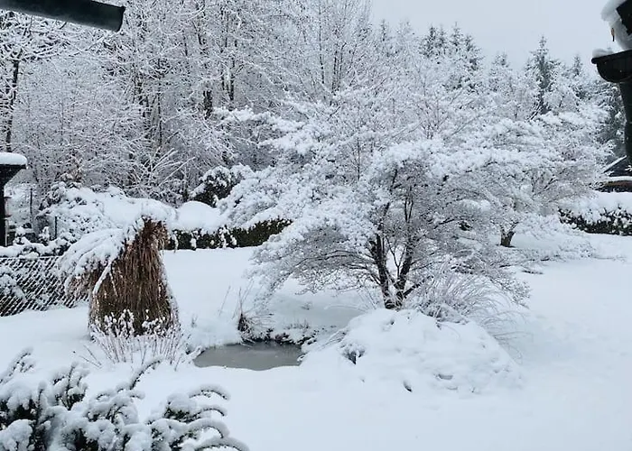 Seeblickstrasse 22 - Waldrausch Am Ossiacher Apartament *