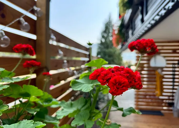 Seeblickstrasse 22 - Waldrausch Am Ossiacher Apartament *