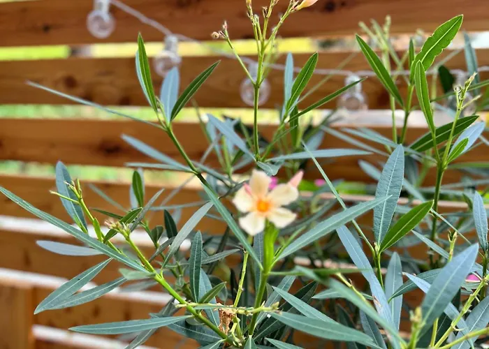 Apartament Seeblickstrasse 22 - Waldrausch Am Ossiacher Bodensdorf