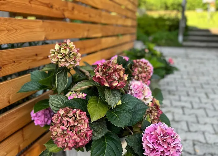 Seeblickstrasse 22 - Waldrausch Am Ossiacher Apartament *